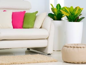 دليلك في تنسيق النباتا...