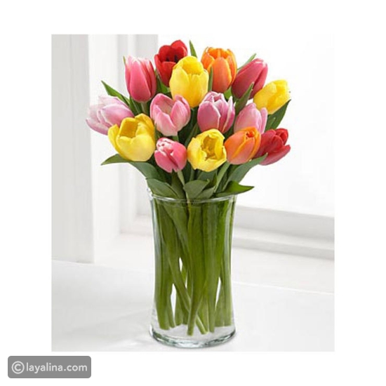 باقة التوليب