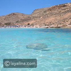 Rabbit Beach&ndash;Italy