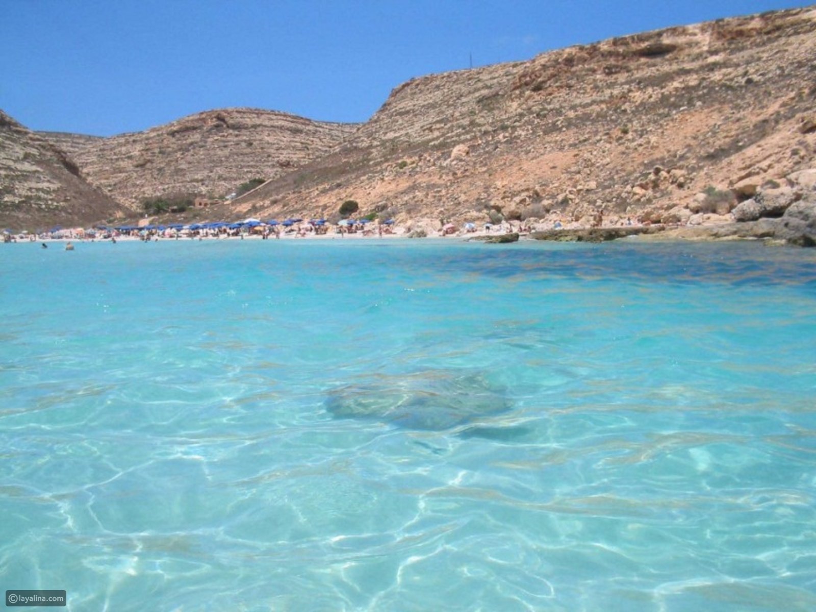 Rabbit Beach–Italy