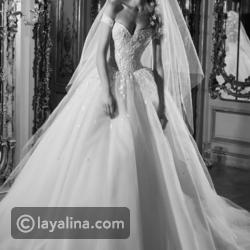 ������ ���� ���� ��� ����� 2019 � 