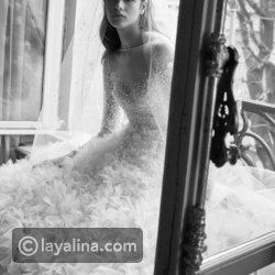 ������ ���� ���� ��� ����� 2019 � 