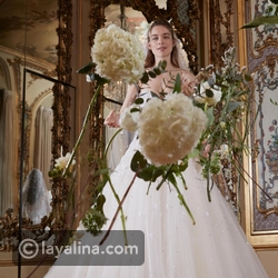 ������ ���� ���� ��� ����� 2019 � 