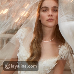 ������ ���� ���� ��� ����� 2019 � 