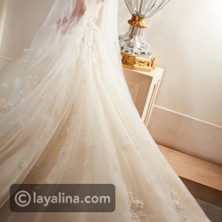 ������ ���� ���� ��� ����� 2019 � 