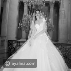 ������ ���� ���� ��� ����� 2019 � 