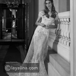 ������ ���� ���� ��� ����� 2019 � 