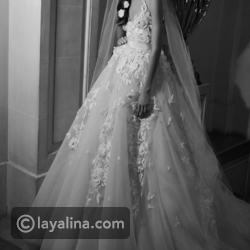 ������ ���� ���� ��� ����� 2019 � 