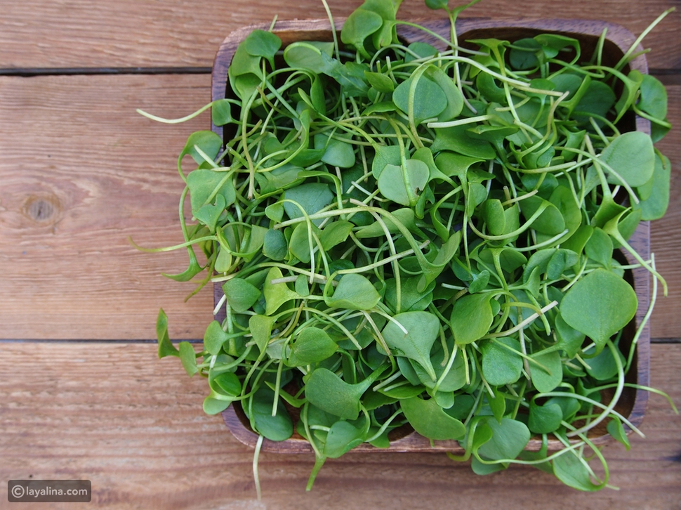 فوائد الجرجير الصحية ليالينا