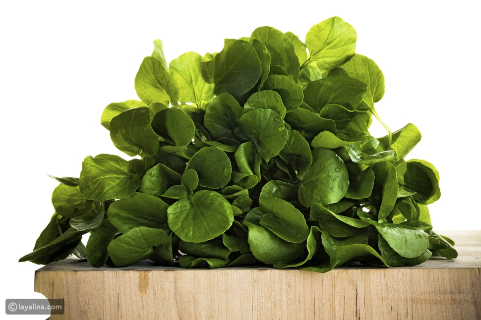 فوائد الجرجير الصحية ليالينا