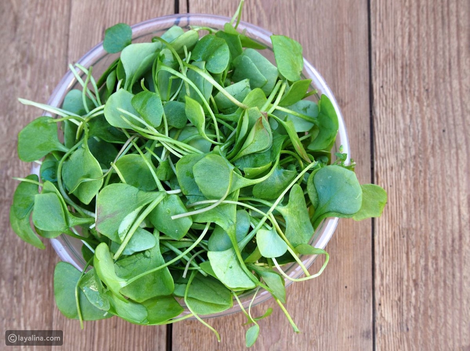 فوائد الجرجير الصحية ليالينا