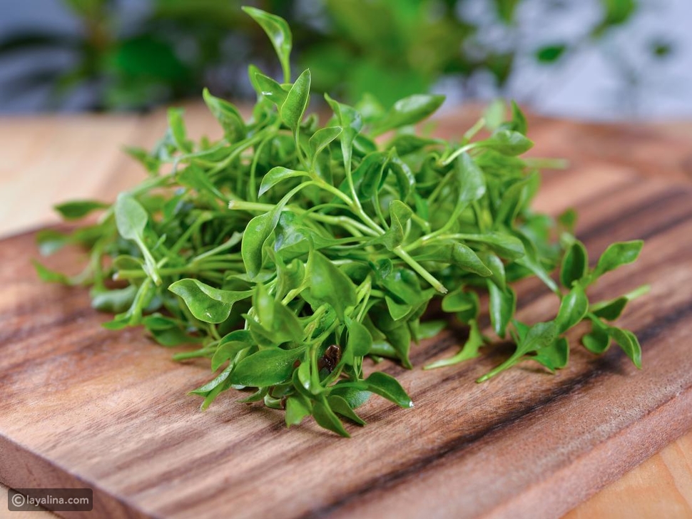 فوائد الجرجير الصحية ليالينا