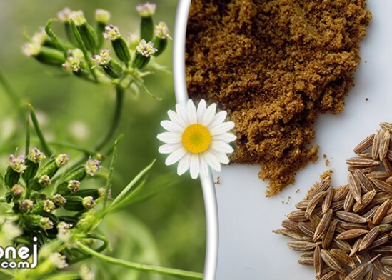 فوائد الكمون المطحون ليالينا