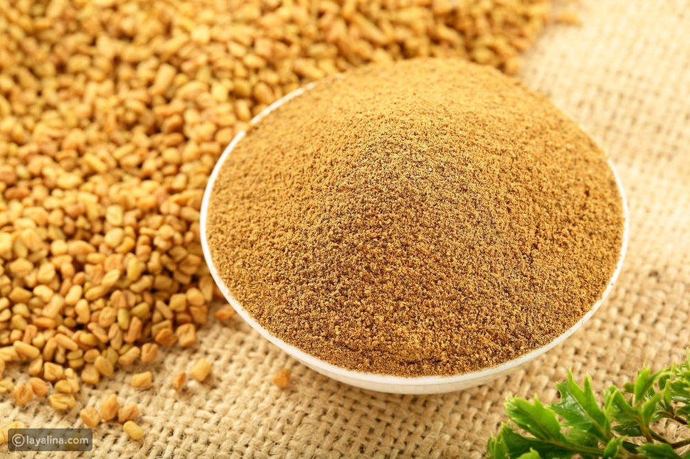 https www layalina com d9 81 d9 88 d8 a7 d8 a6 d8 af d8 a7 d9 84 d8 ad d9 84 d8 a8 d8 a9 347206 html