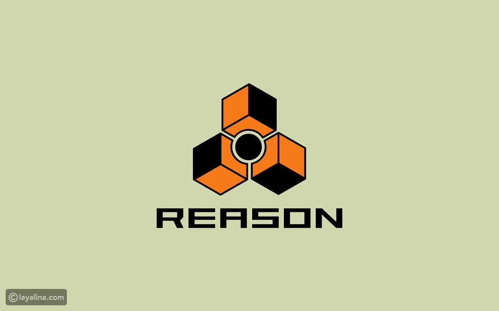 اضطراب ثنائي القطب بالتفصيل ليالينا