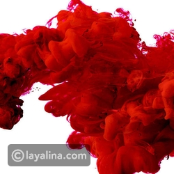 تفسير حلم رؤية ورد احمر أو ابيض أو زهر الياسمين في المنام