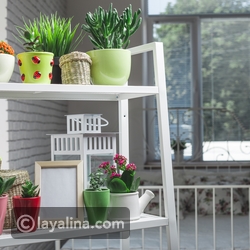 ���� 10 ������ ���� ������ ������ � 